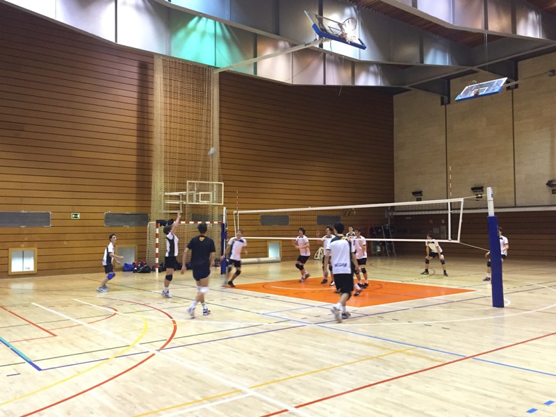 Les seleccions catalanes realitzen la última sessió preparatòria al CESA abans de la concentració
