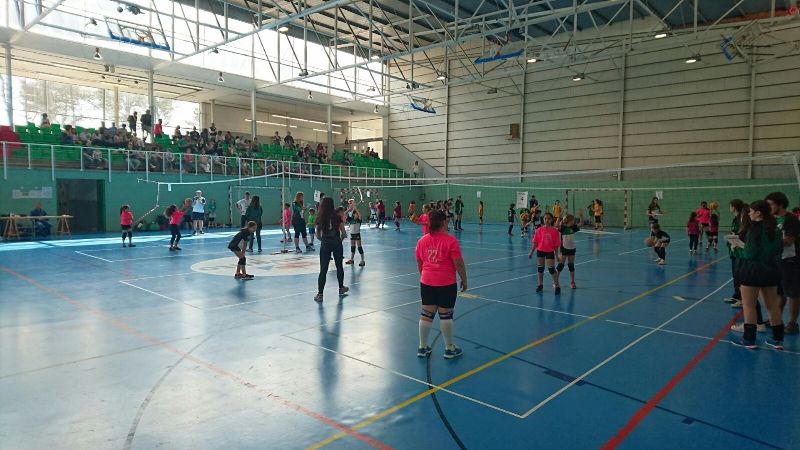 Sant Quirze del Vallès va acollir diumenge la setena trobada de promoció Inivòlei