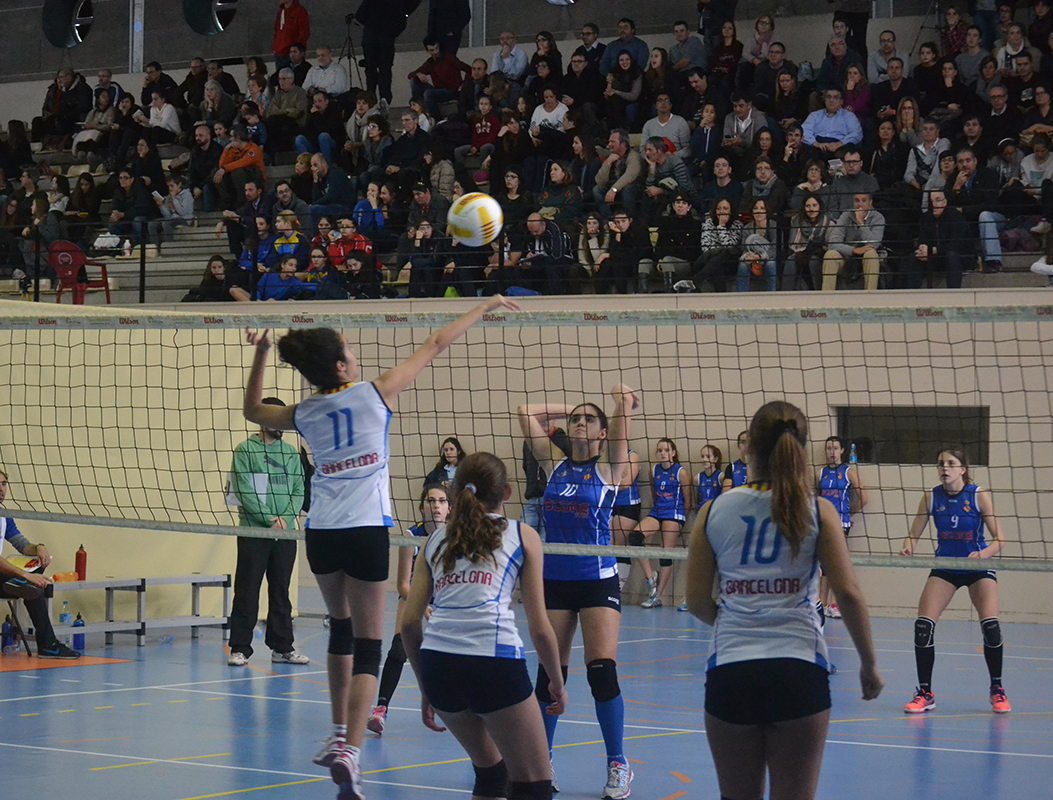 Campionat Seleccions Provincials