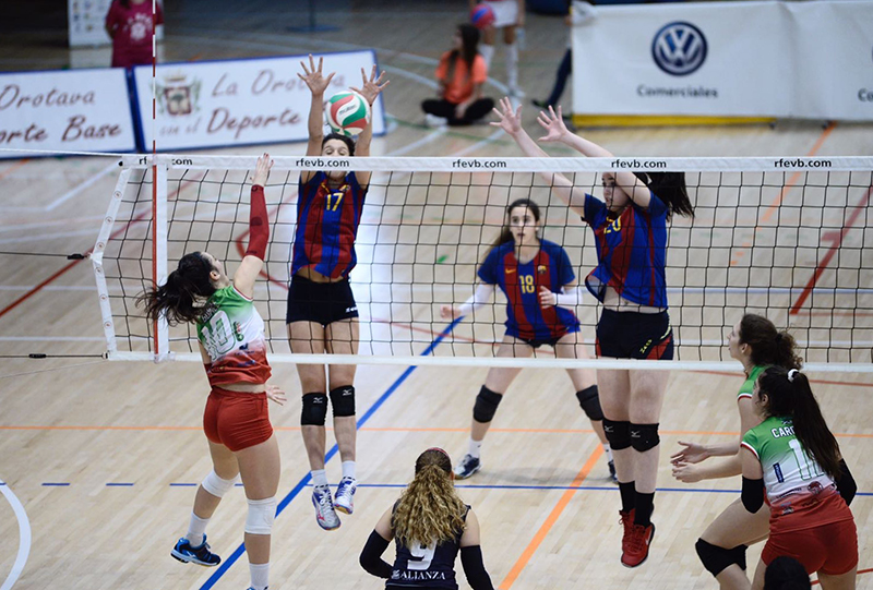Gran paper dels equips catalans a la Superlliga Junior