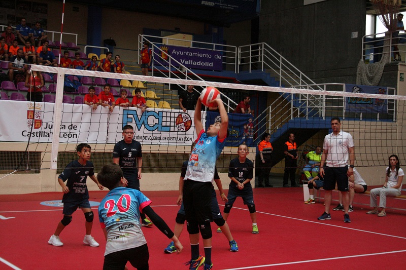 Plata pel CV Esplugues al Campionat d’Espanya aleví
