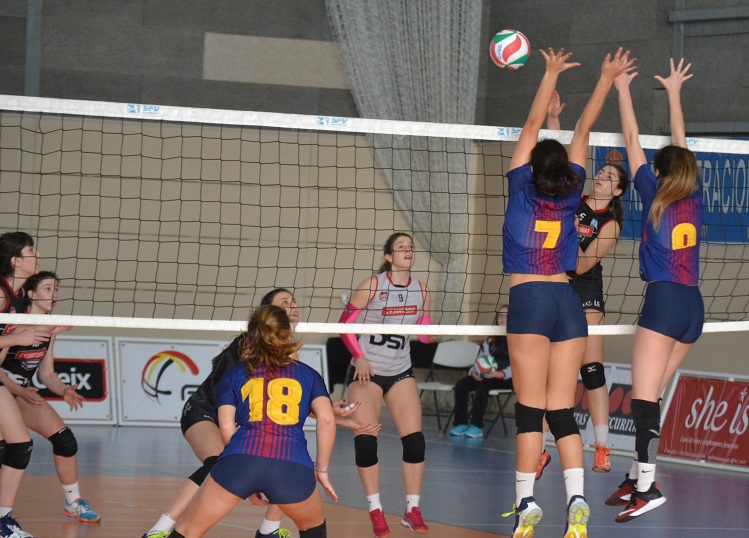 Sis equips catalans busquen el títol de la Superlliga Júnior