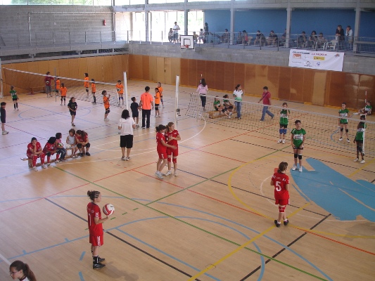 Primera edició de la lliga aleví federada