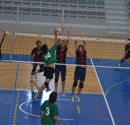 La UFEC i les federacions esportives mostren la seva oposició a la llicència única