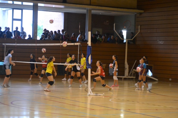 Convocatoria de beques esportives de la Federació Catalana de Voleibol