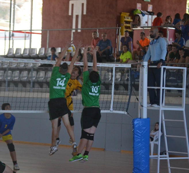 Segueix l’espectacular creixement del voleibol català. Nou rècord la 15-16 amb 461 equips federats